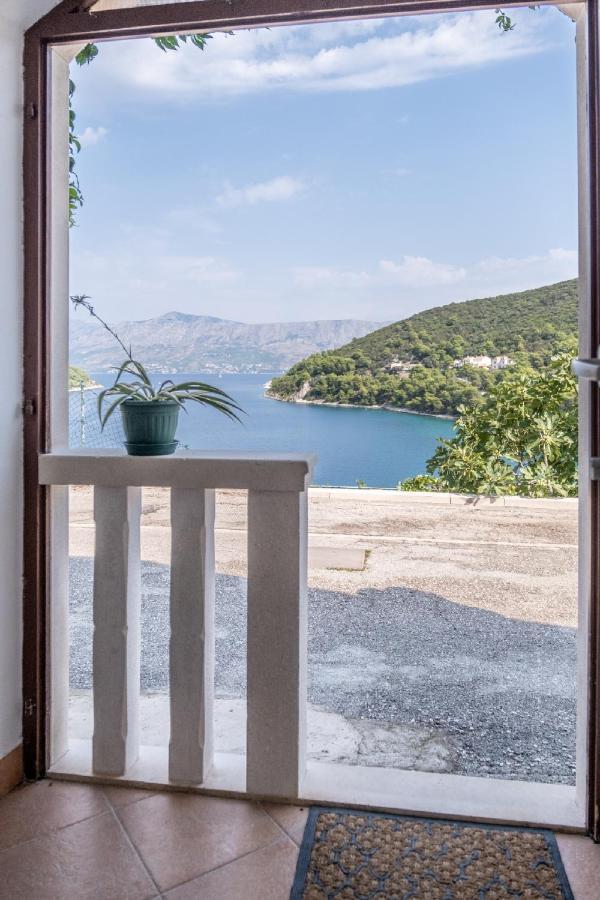 Darija Apartman *