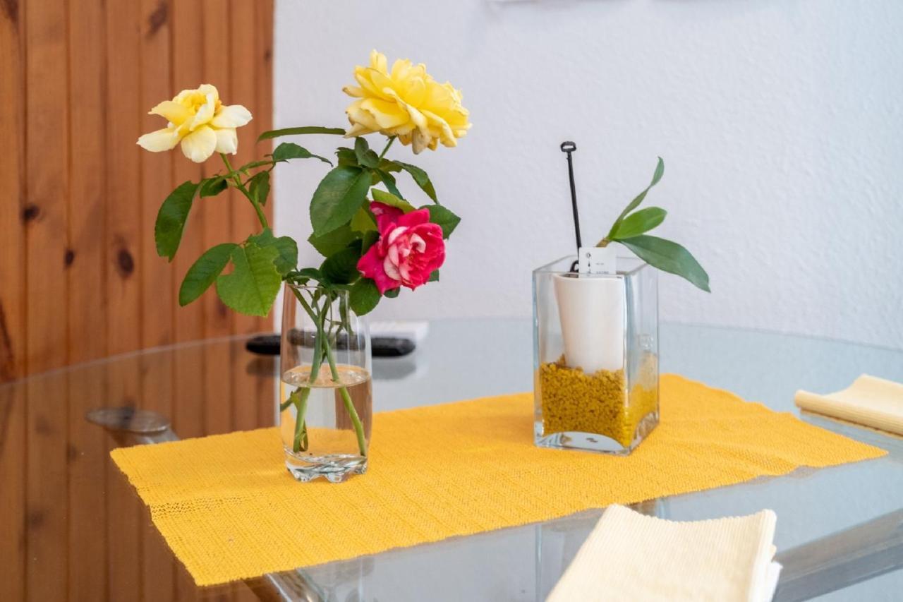 Darija Apartman Pucisca