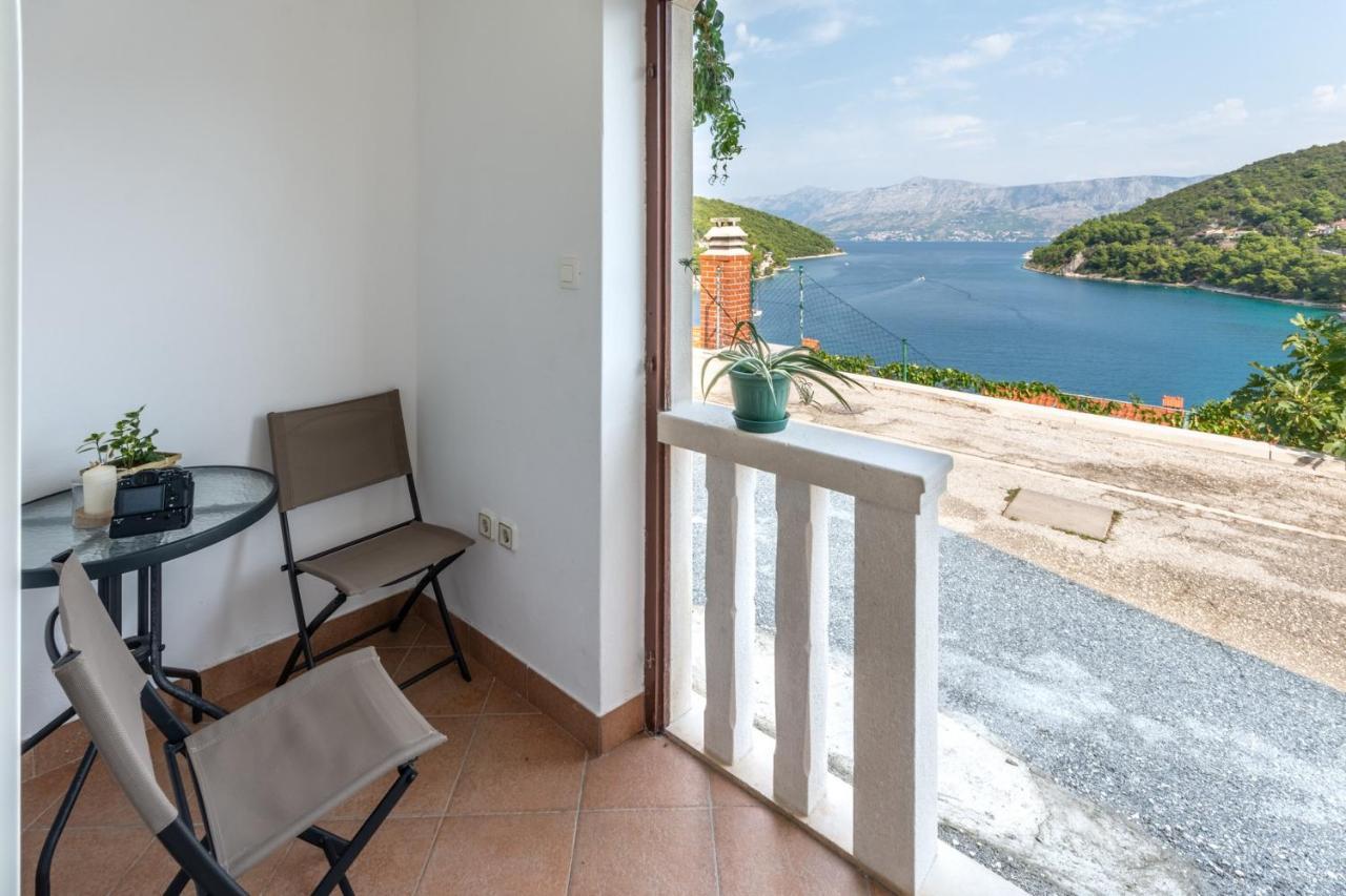 Apartment Darija *